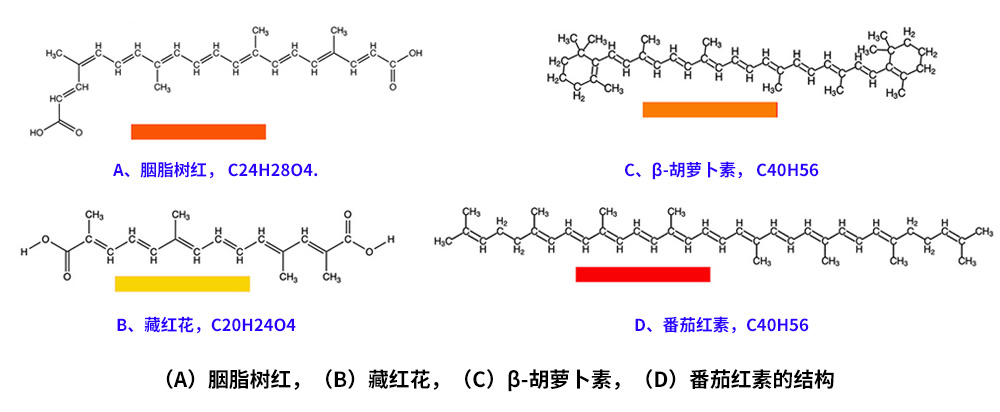 藏紅花、胭脂樹紅、β-胡蘿卜素、番茄紅素的化學結構